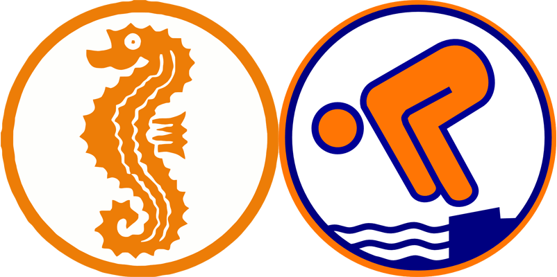 Seepferdchen- und Schwimmabzeichen