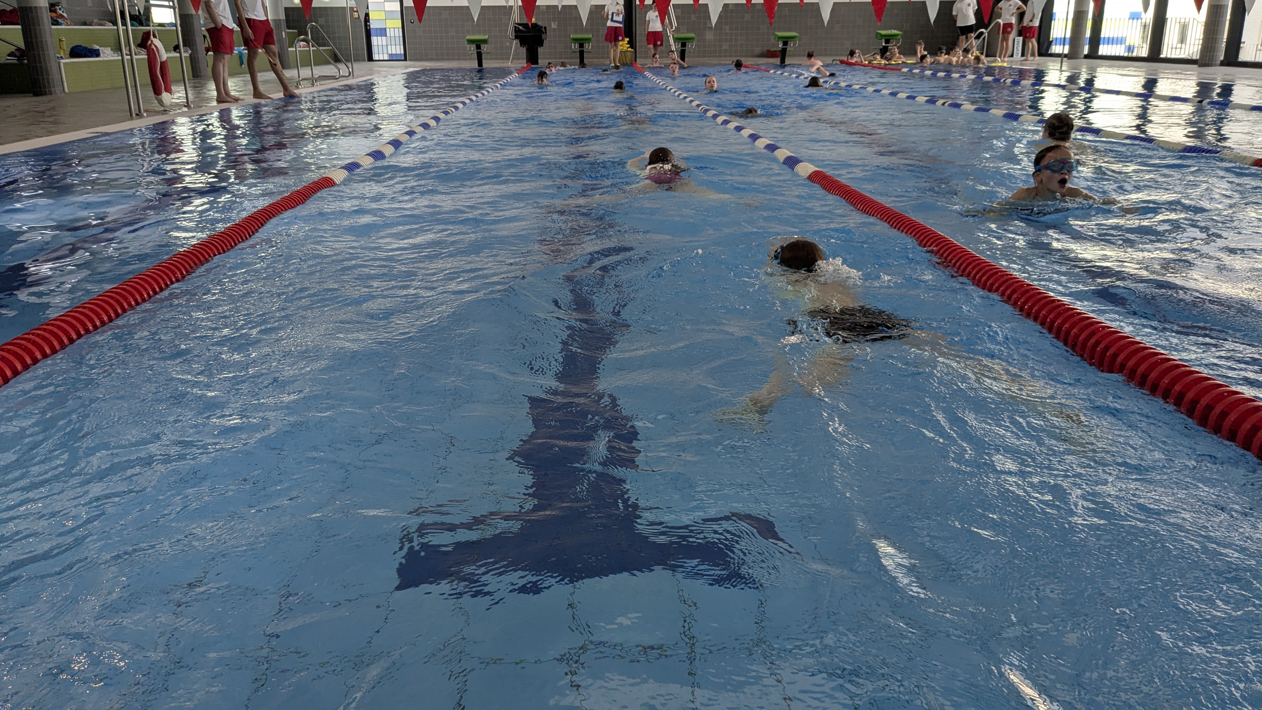 Schwimmtraining auf mehreren Bahnen im Gerolsbad